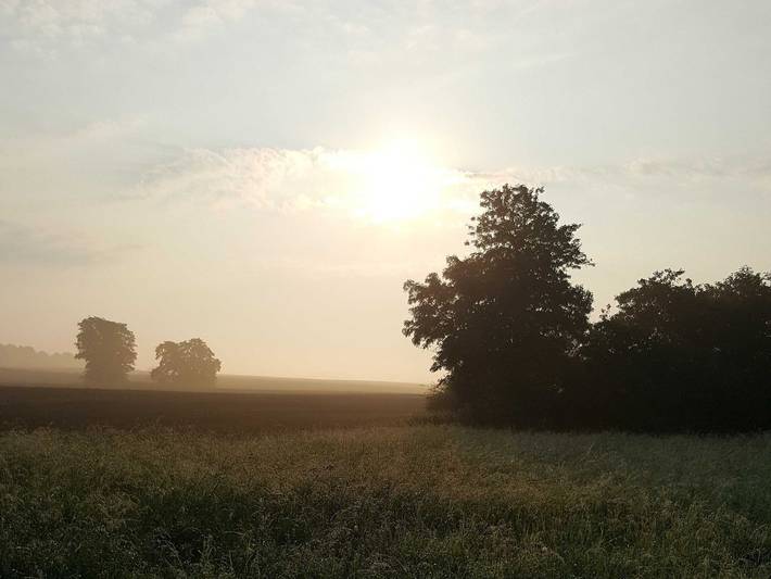 Ferienwohnung für 3 Personen, mit Terrasse und Garten in Blankensee (Mecklenburg) - 4