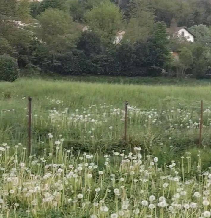 Gîte pour 6 personnes à Chamborigaud - 2