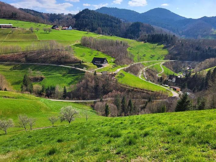 Ferienwohnung für 4 Personen, mit Balkon und Terrasse sowie Garten und Ausblick in Oppenau