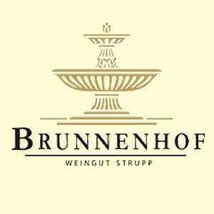 Weingut und Gästehaus Brunnenhof in Palzem, Landkreis Trier-Saarburg