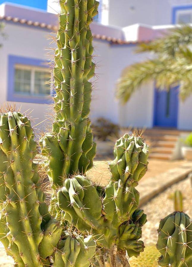 Casa rural para 8 personas, con Balcón y Terraza además de Jardín y Piscina en Sant Jordi de ses Salines - 4
