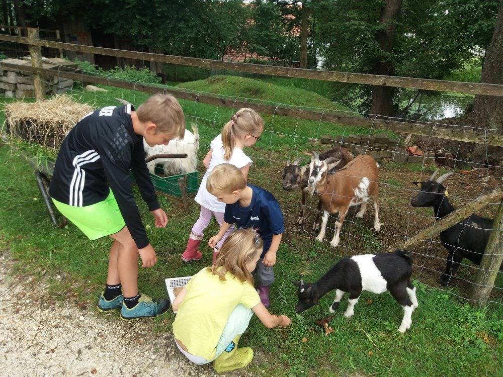 Gästehaus Schneider - Teichblick F **** in Eppishausen, Bayerisch Schwaben