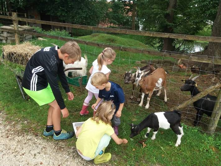 Bauernhof für 6 Personen, mit Pool und Garten im Allgäu - 2