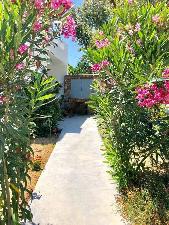 Appartement entier, Nefeli in Livadi, Sérifos