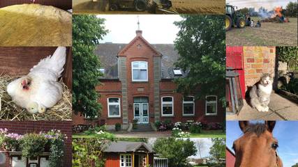 Hütte für 5 Personen, mit Garten auf Fehmarn