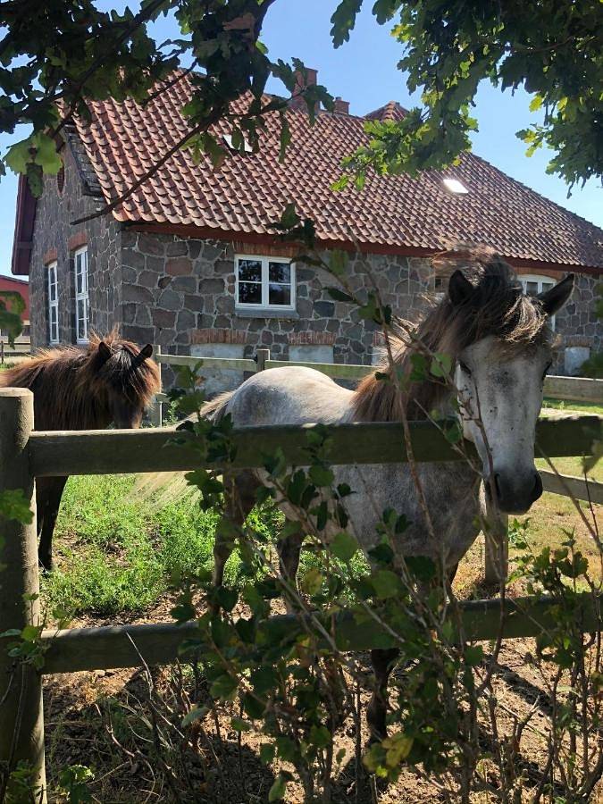 Appartement de vacances pour 6 personnes, avec jardin et vue, animaux acceptés