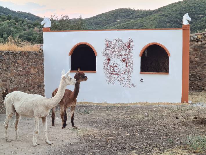 Villa pour 7 personnes en Andalousie - 2