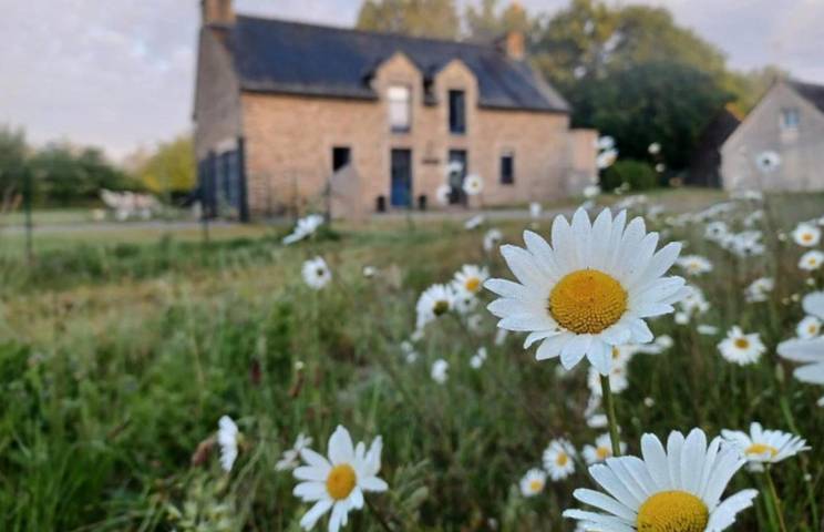 Chambre d’hôte pour 2 personnes, avec jardin ainsi que jacuzzi et piscine dans le Morbihan - 3