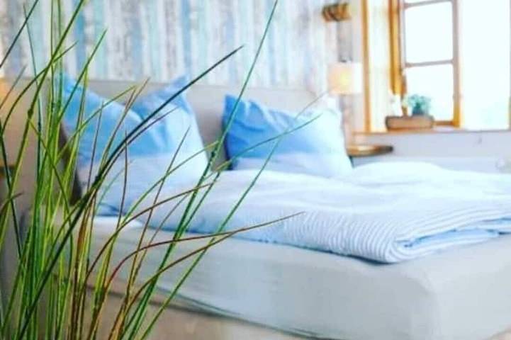 Ferienwohnung für 4 Personen, mit Haustier in Blekendorf - 2