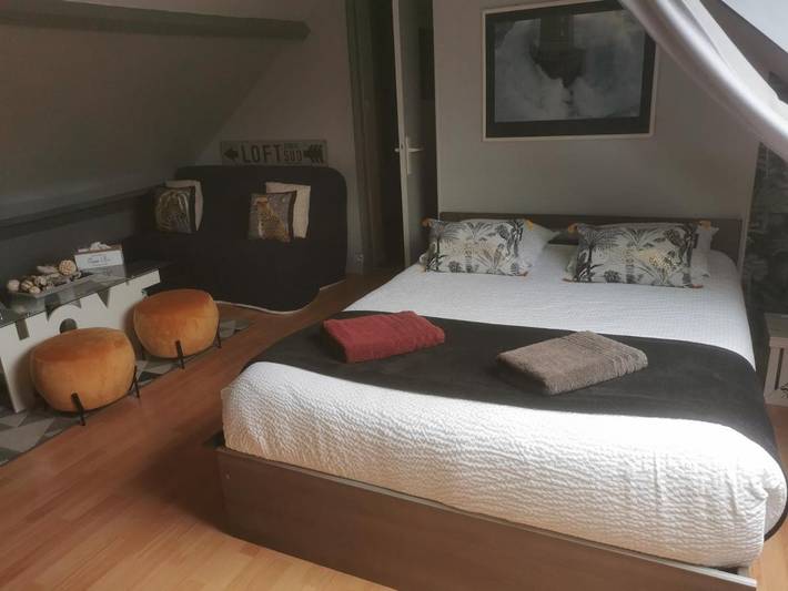 Location de vacances pour 4 personnes, avec jardin ainsi que terrasse et vue à Villefranche-sur-Cher - 3