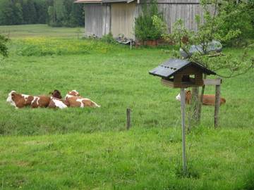 Bauernhaus für 6 Personen in Breitbrunn am Chiemsee, Bayerische Alpen, Bild 1