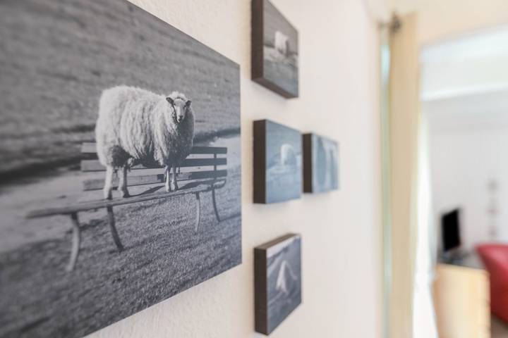 Ganze Wohnung, Ferienwohnung 'Kleine Ella Pellworm' mit Privatterrasse, Gemeinschaftsgarten und Wi-Fi in Nordfriesische Inseln (Schleswig-Holstein) (Schleswig-Holstein), Pellworm