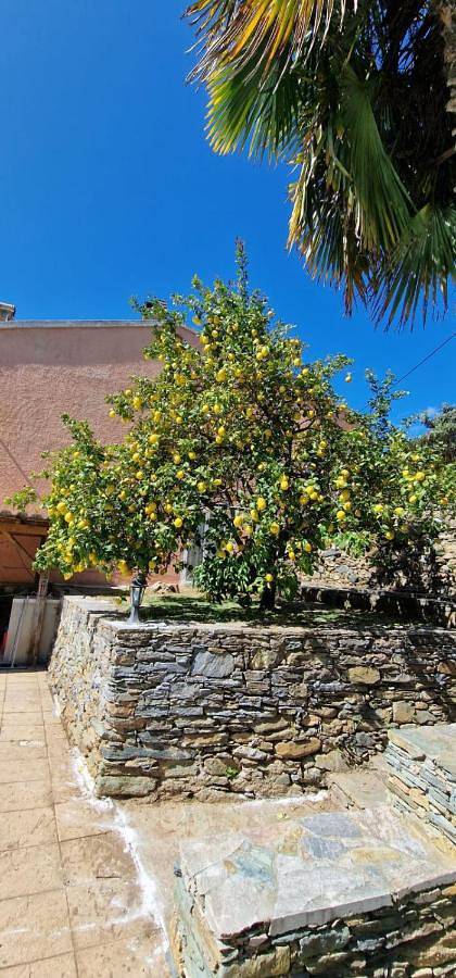 Location de vacances pour 8 personnes, avec jardin ainsi que piscine et vue, animaux acceptés à Oletta - 3