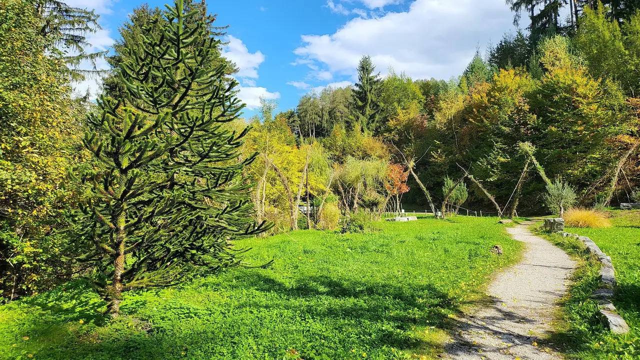 Ganze Ferienwohnung, Ferienwohnung für 6 Personen (80 m²) in Schwaz in Tuxer Alpen, Schwaz