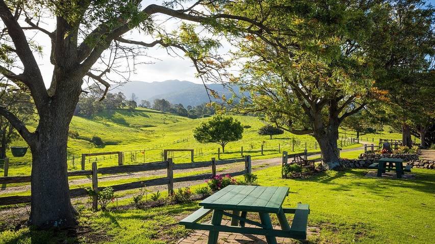 Log cabin for 2 people, with garden in South Coast NSW