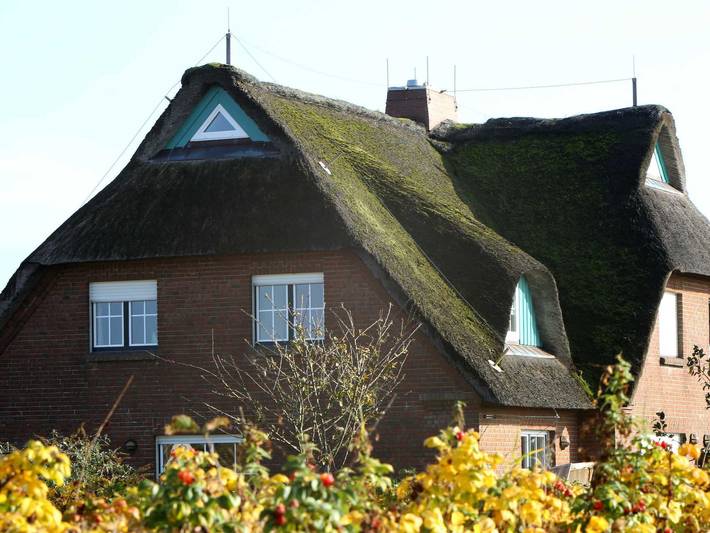 Haus Deichgraf - Haus Deichgraf / Reinhard Mathieu in Friedrichskoog-Spitze, Friedrichskoog