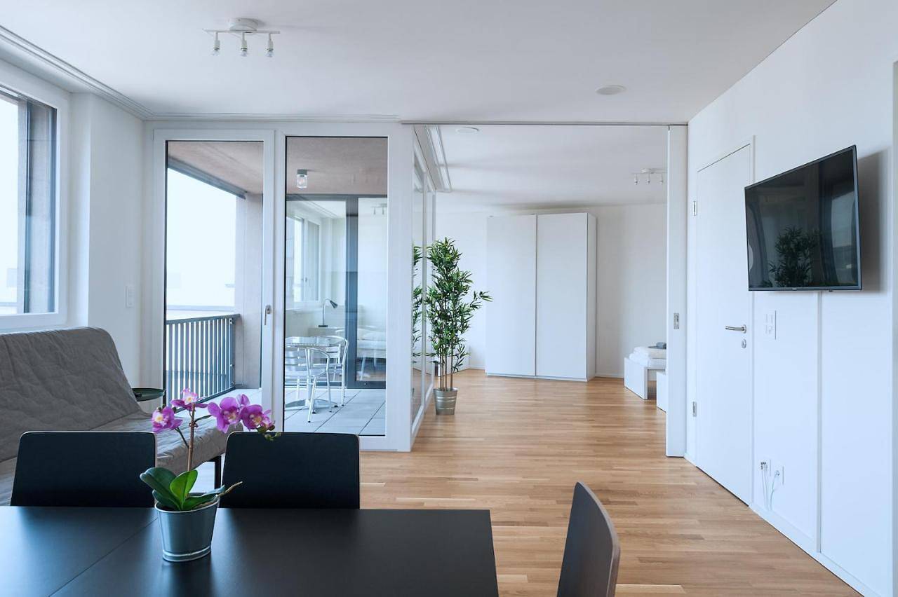 Ganze Wohnung, Hitrental Basel Apartments in Basel Zustellkreis, Basel