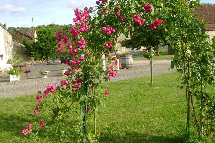 Gîte pour 6 personnes, avec jardin ainsi que terrasse et piscine à Chédigny - 3