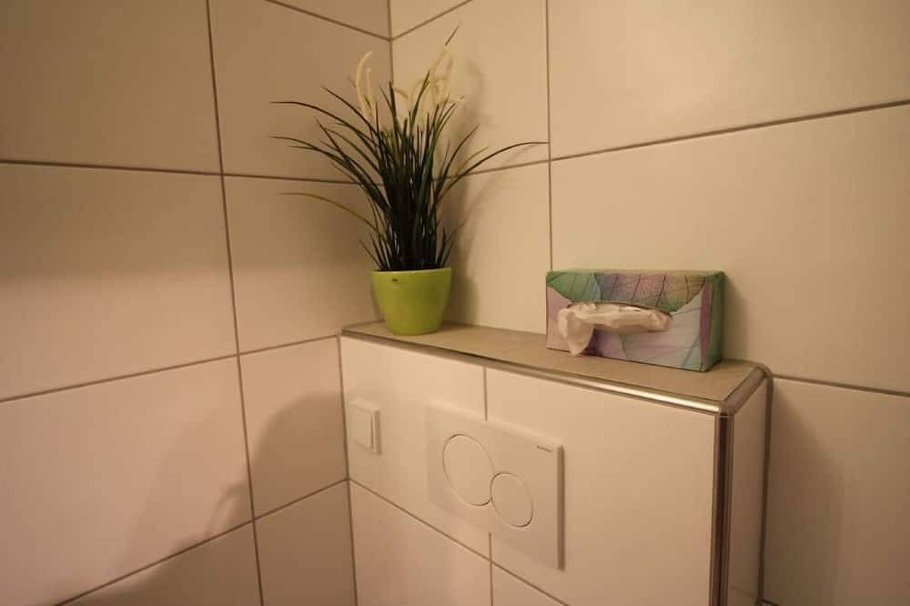Ganze Wohnung, Bemer-Rempfler in Obsee, Lungern