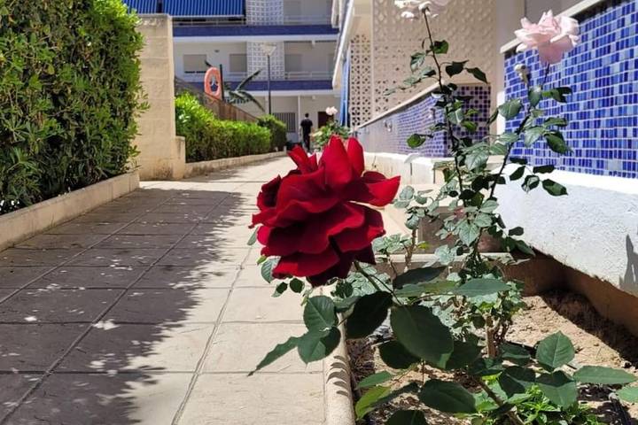 Gîte pour 8 personnes, avec piscine ainsi que jardin et vue à Piles - 3