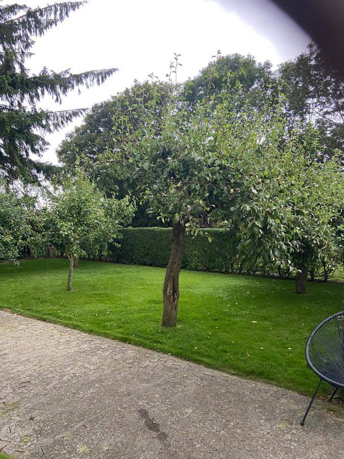 Villa für 6 Personen, mit Garten und Ausblick, mit Haustier in Tondern - 2