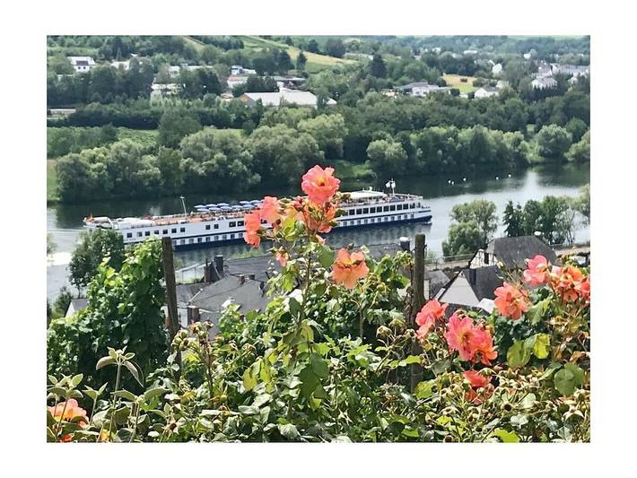 Ferienhaus für 3 Personen, mit Terrasse und Ausblick in Lieser - 4