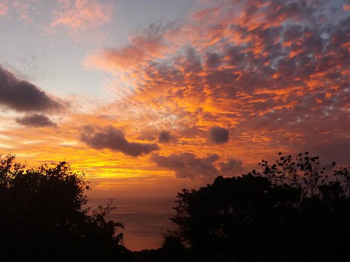 Bungalow pour 6 personnes, avec terrasse et jardin