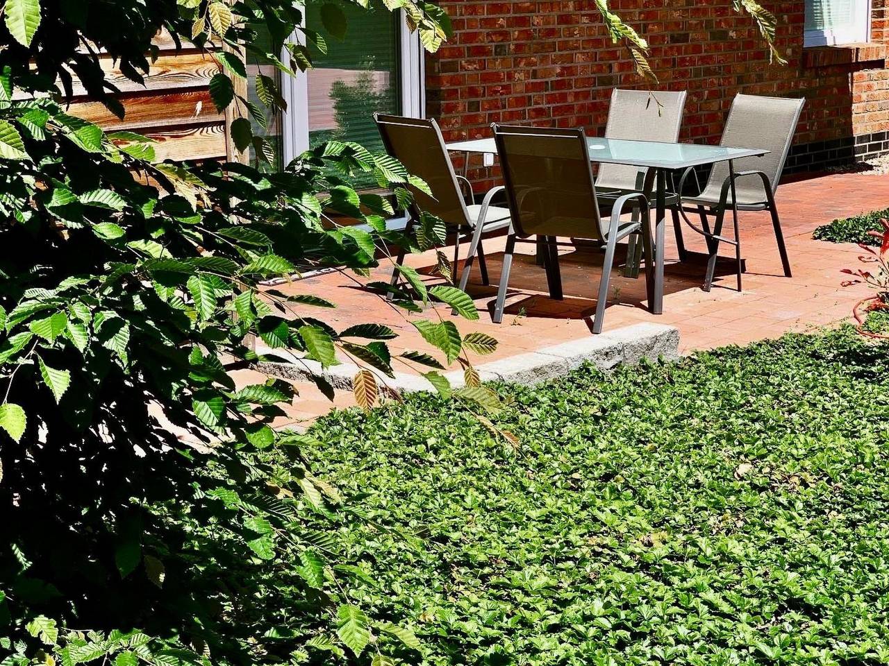 Ganze Wohnung, "Hasel" Barrierefrei mit Fahrstuhl direkt am Stausee in Thülsfelder Stausee, Friesoythe