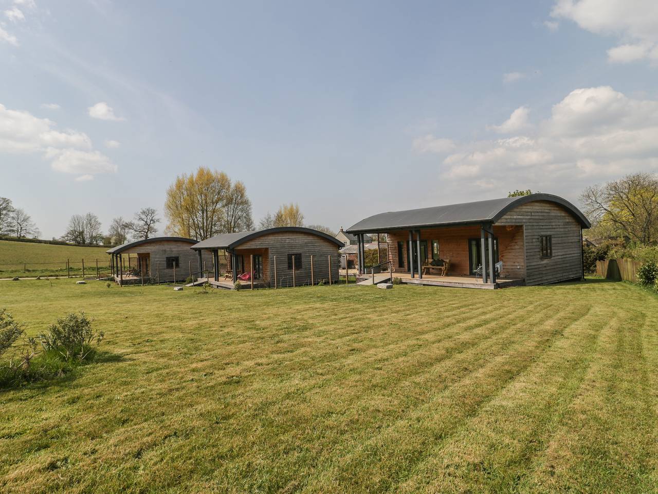 Bluebell in West Pennard, Somerset