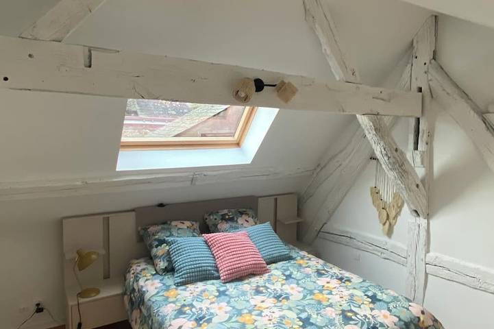 Location de vacances pour 2 personnes, animaux acceptés dans Château d'Amboise - 3