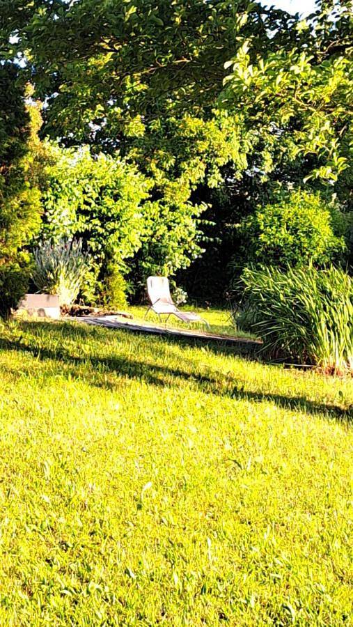 Ferienhaus für 4 Personen, mit Ausblick und Garten in Talsperre Pöhl - 3