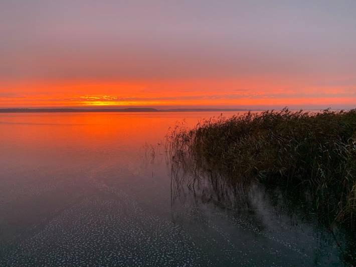Watermark Usedom - Traumhaus direkt am Wasser mit eigener Badestelle - Haus Woge in Rankwitz, Usedom