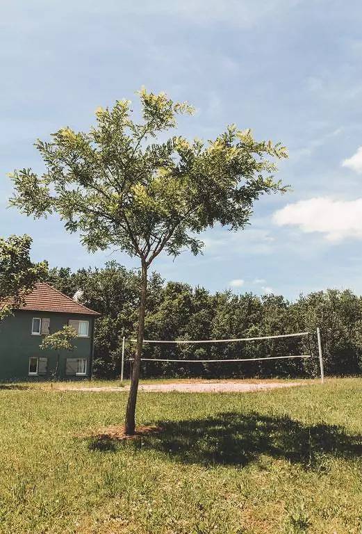 Gîte pour 8 personnes, avec piscine, animaux acceptés à Prayssac - 4