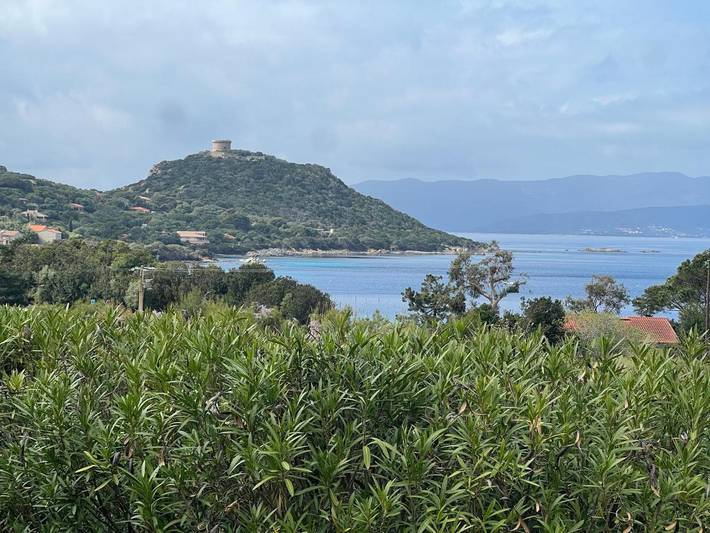 Location de vacances pour 5 personnes, avec terrasse ainsi que vue et jardin à Belvédère-Campomoro - 2