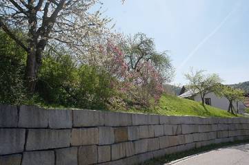 Ferienhaus für 4 Personen in Ringelai, Ostbayern, Bild 4