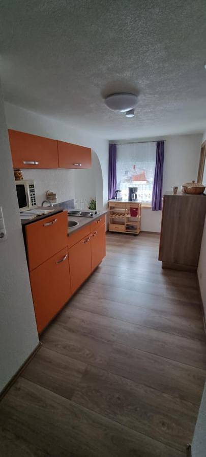 Gîte pour 3 personnes, avec vue et balcon, animaux acceptés à Lermoos - 2