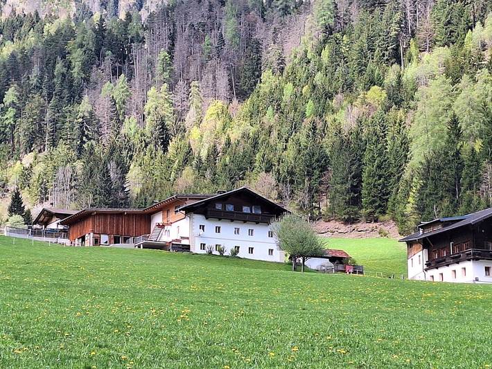 Ferienwohnung für 4 Personen, mit Garten in Osttirol - 2