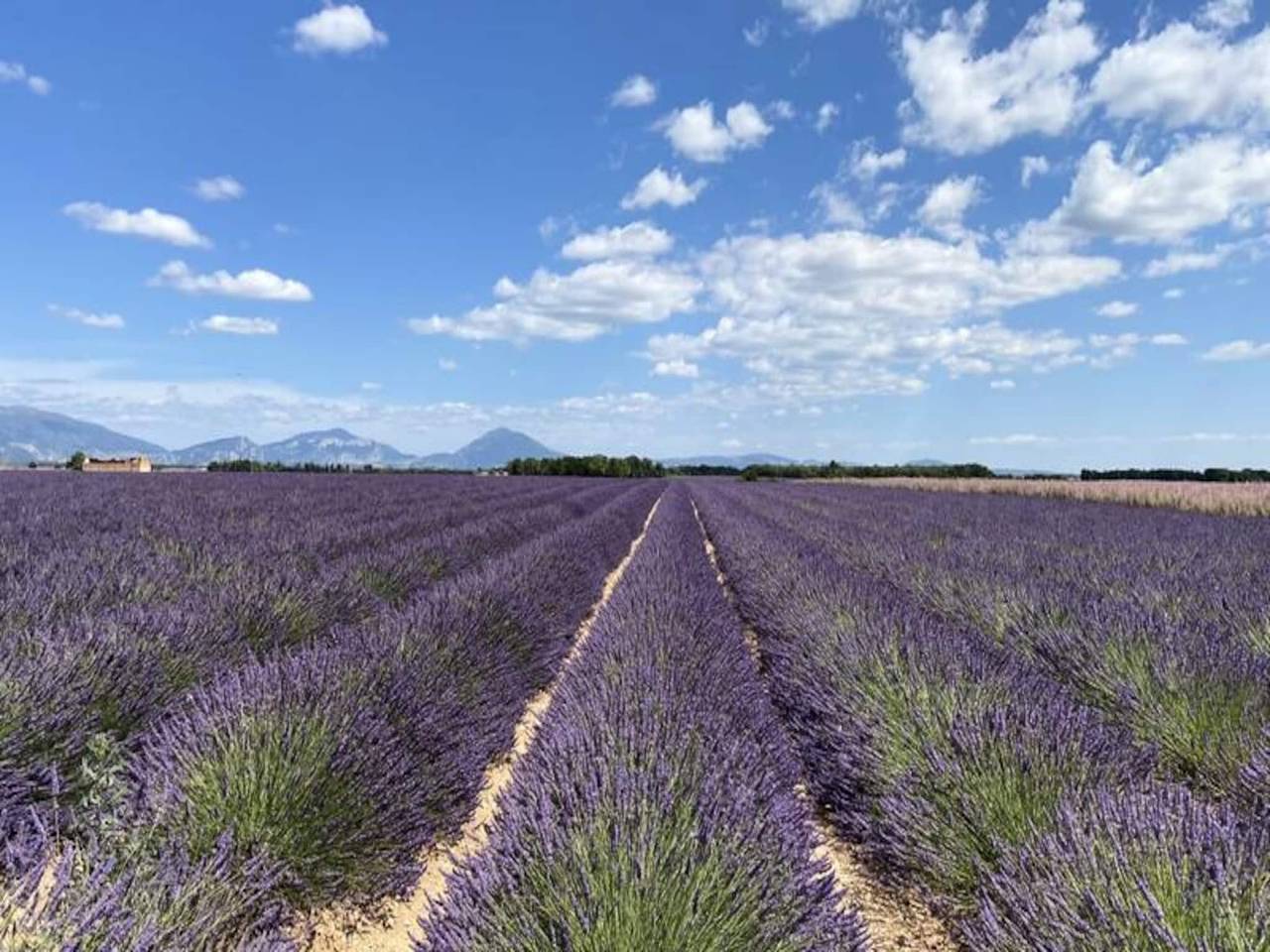 Apartamento entero, Lejligheder til 7 personer in Brunet, Alpes de Alta Provenza