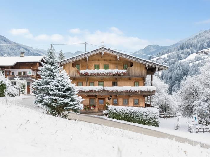 Vakantiewoning voor 4 personen, met terras en tuin, met huisdier in Alpbach