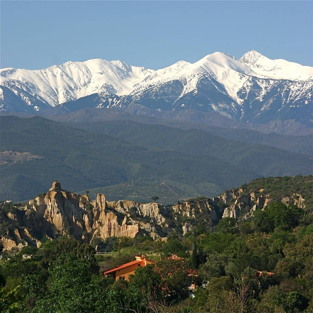 Les Agaves in Ille-sur-Têt, Región de Prades (Francia)