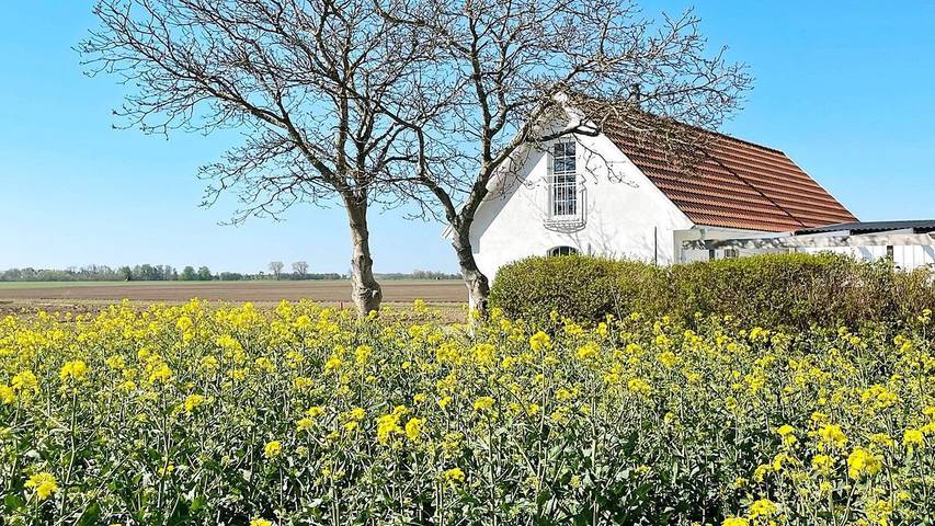 Hus för 7 Personer, med trädgård i Skurup