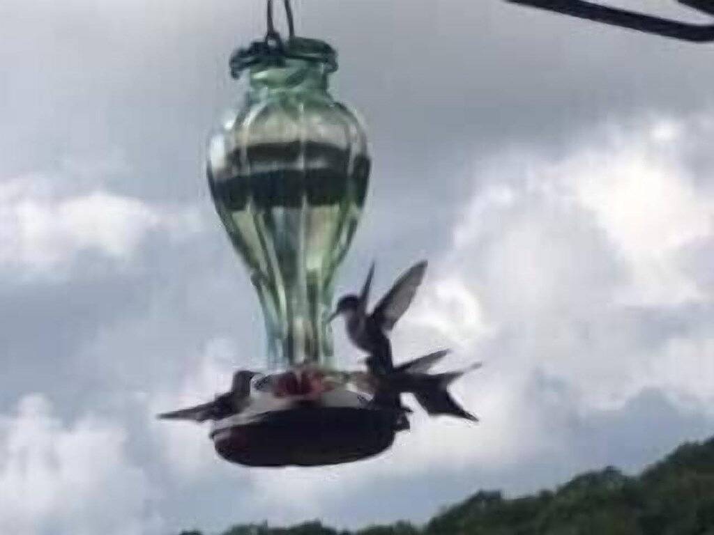 Cozy mountain retreat overlooking long-range mountain views. in Blue Ridge Parkway, Jackson County