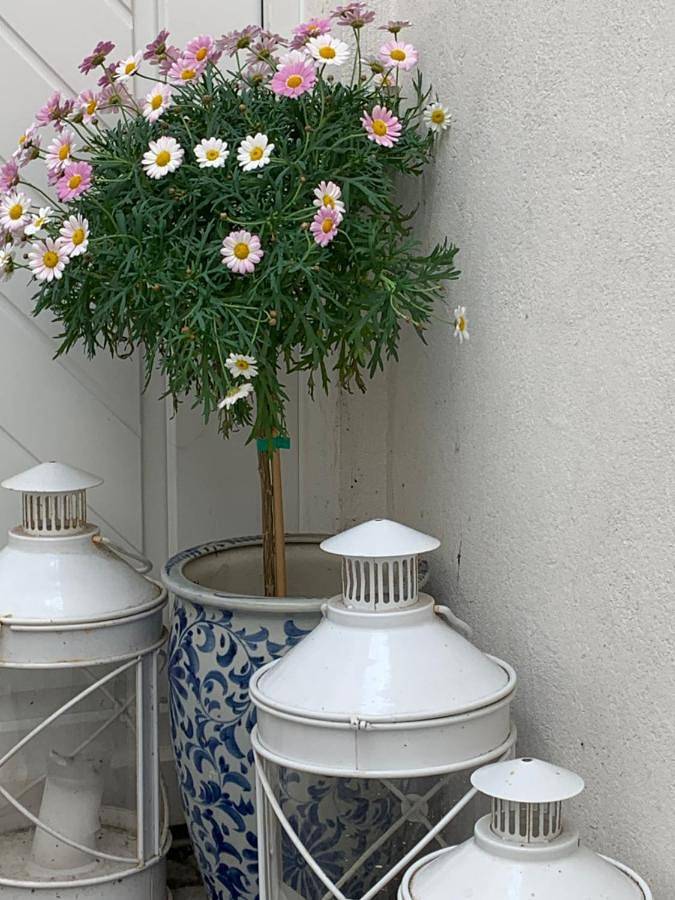 Ferienwohnung für 6 Personen, mit Terrasse in Hückelhoven - 2