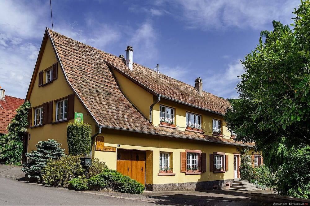 Ganze Wohnung, Gîte Alisier au Suppendorf in Breitenbach, Region Sélestat-Erstein