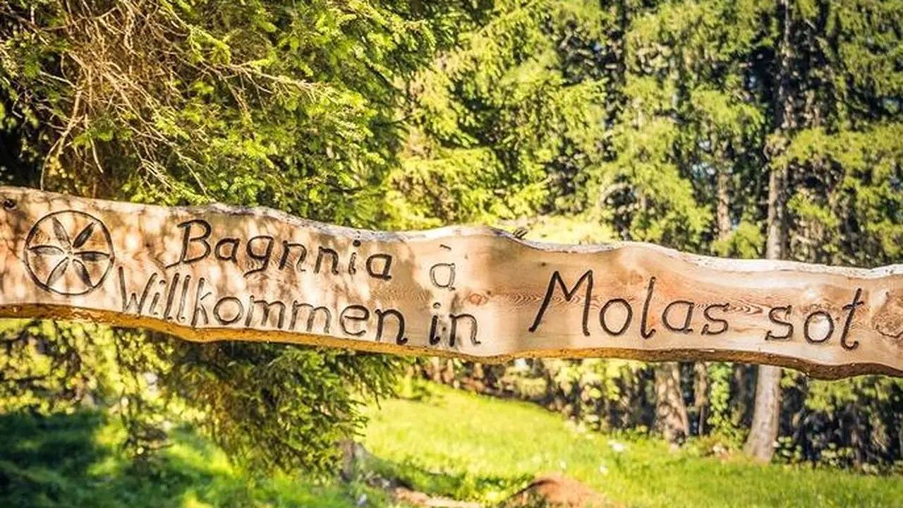 Appartamento intero, Ferienwohnung für 14 Personen (91 m²) in Mon in Mon (Albula), Albula/Alvra