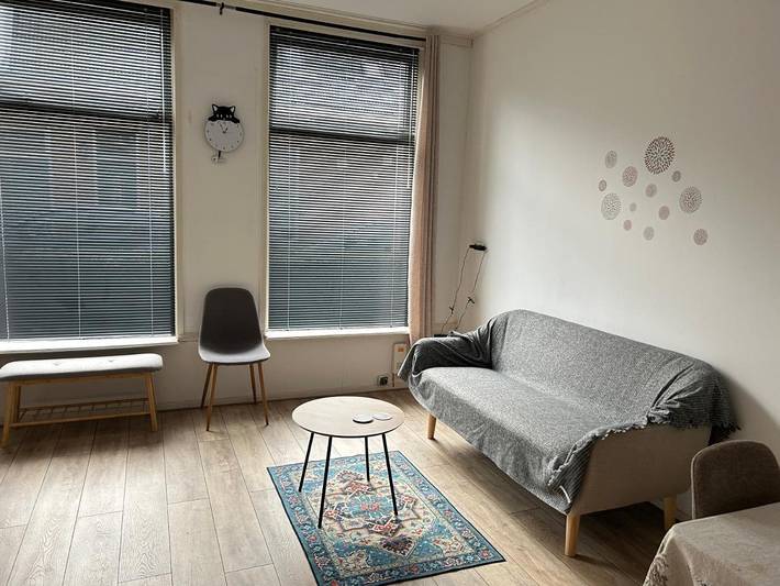 Location de vacances pour 4 personnes, avec vue et jardin à Leeuwarden - 3