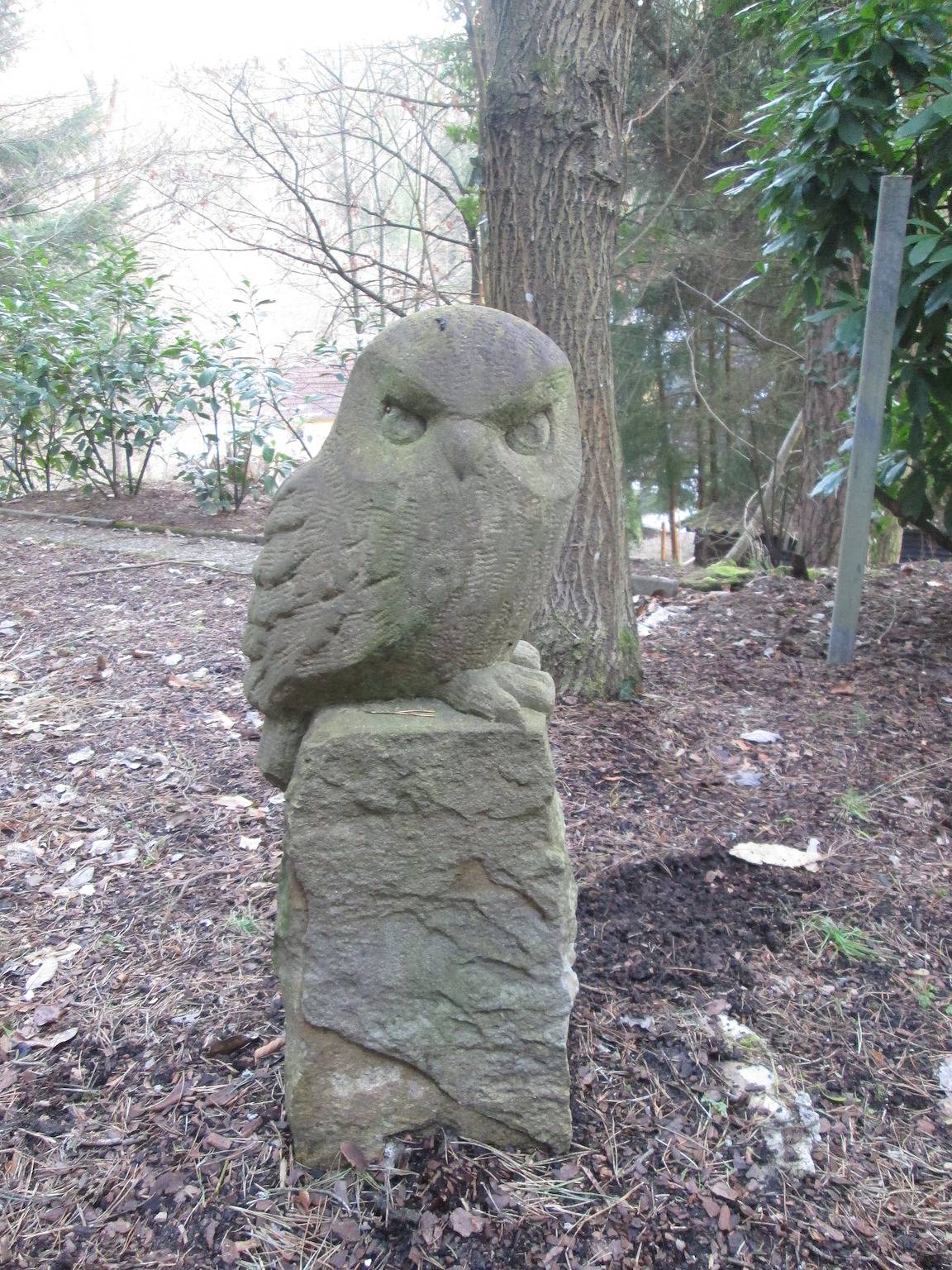 Eulennest in Carlsberg, Saar-Nahe-Bergland