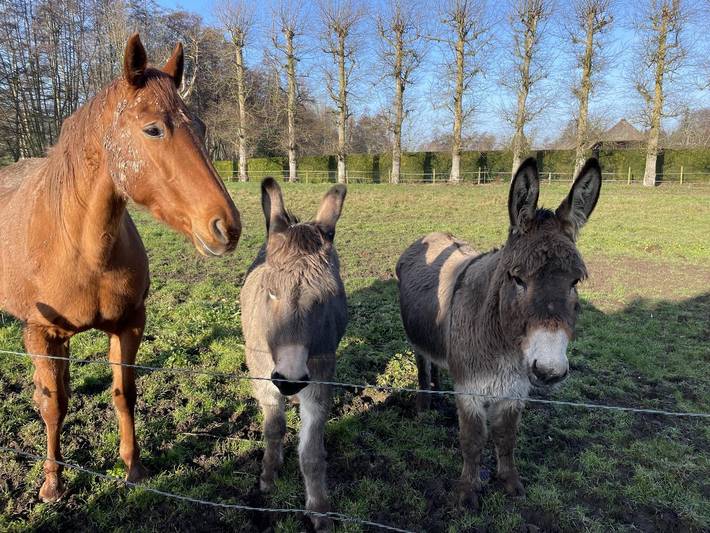Gîte pour 2 personnes, avec jardin, animaux acceptés en Seine-Maritime - 3