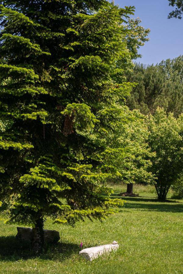 Location de vacances pour 11 personnes, avec jardin et terrasse à Issigeac - 3