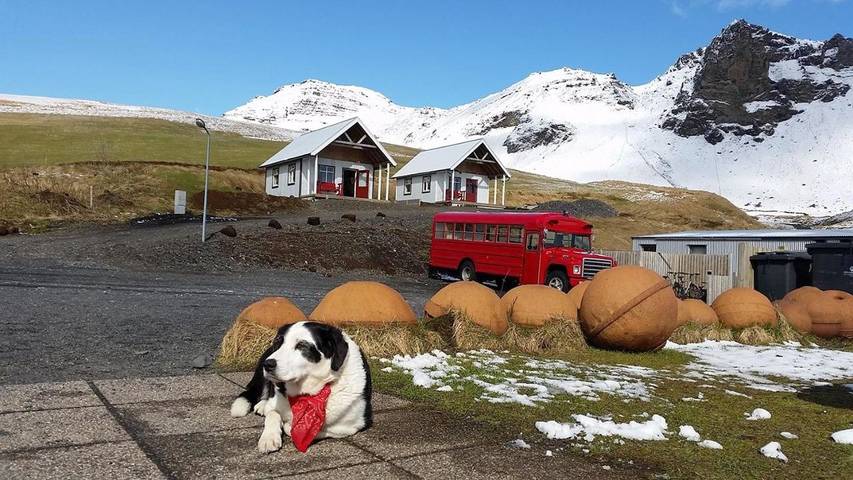 Chambre d’hôte pour 4 personnes, avec jardin ainsi que vue et terrasse dans Vík í Mýrdal - 4